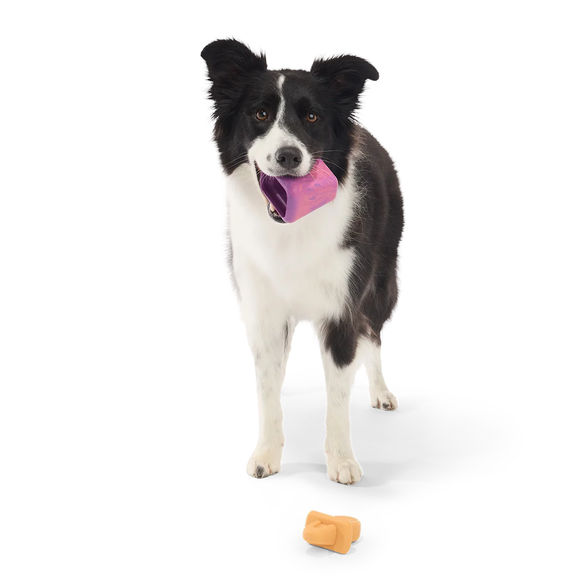 Chill N' Chomp Pupsicle Kit Super Chewer Durable Enrichment Dog Toy - Image 5