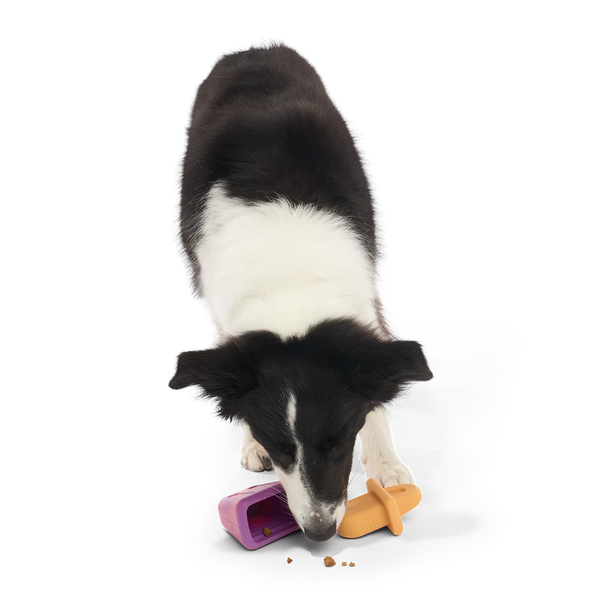 Chill N' Chomp Pupsicle Kit Super Chewer Durable Enrichment Dog Toy - Image 6