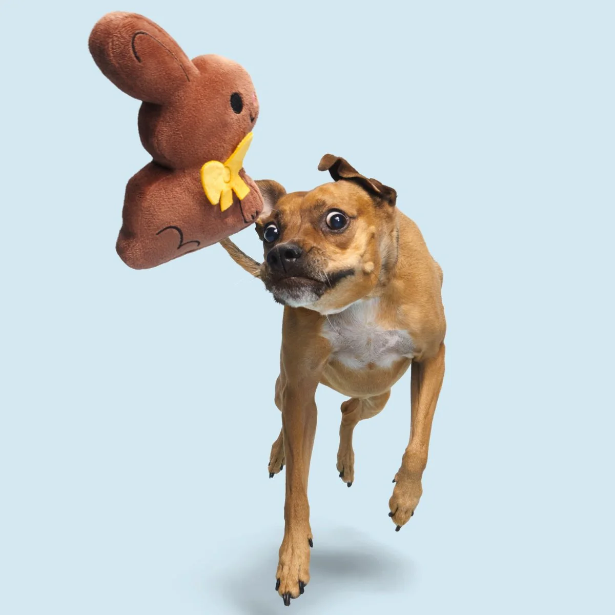 Chocolick Chunky Bunky Plush Tug Dog Toy - Image 3