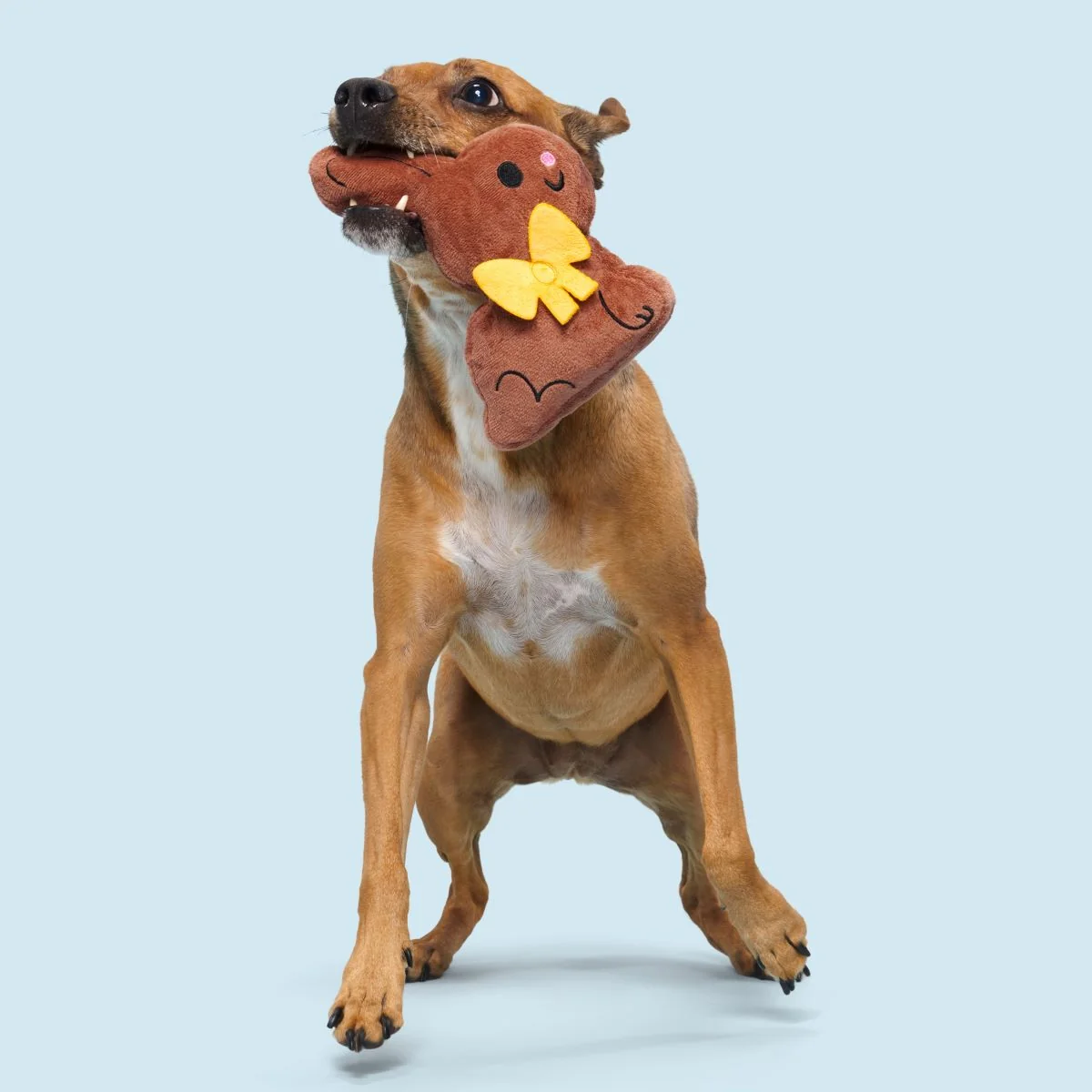 Chocolick Chunky Bunky Plush Tug Dog Toy - Image 4