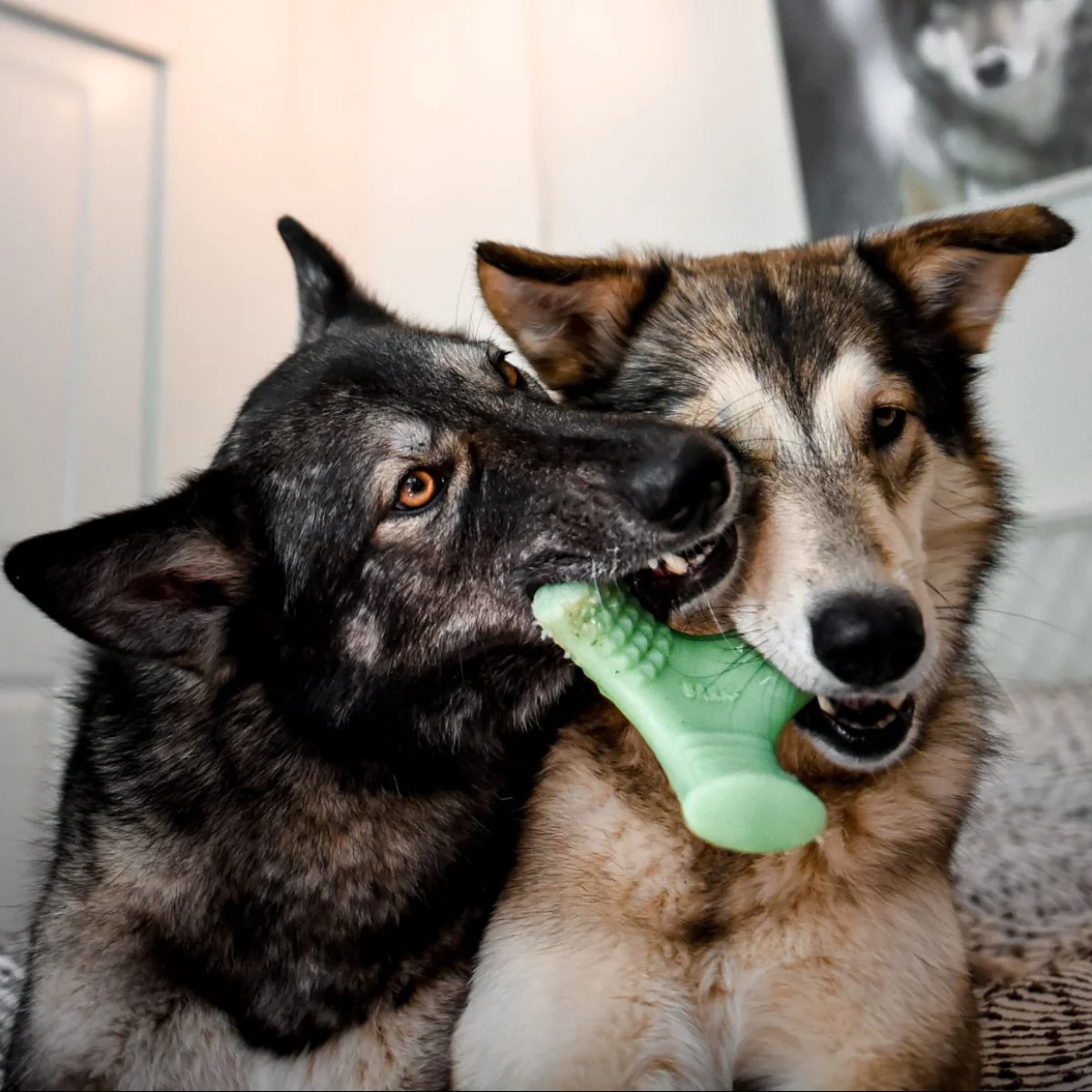 Chopper Super Chewer Durable Gnaw Dog Toy - Image 2
