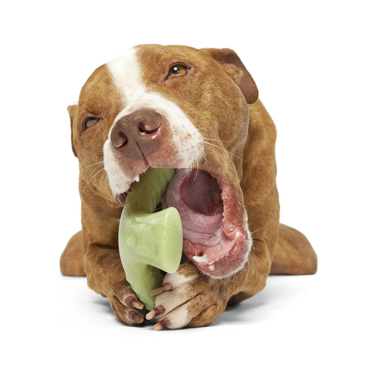 Chopper Super Chewer Durable Gnaw Dog Toy - Image 4