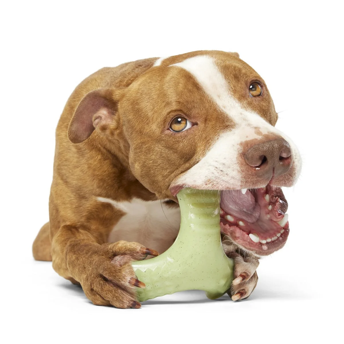 Chopper Super Chewer Durable Gnaw Dog Toy - Image 5