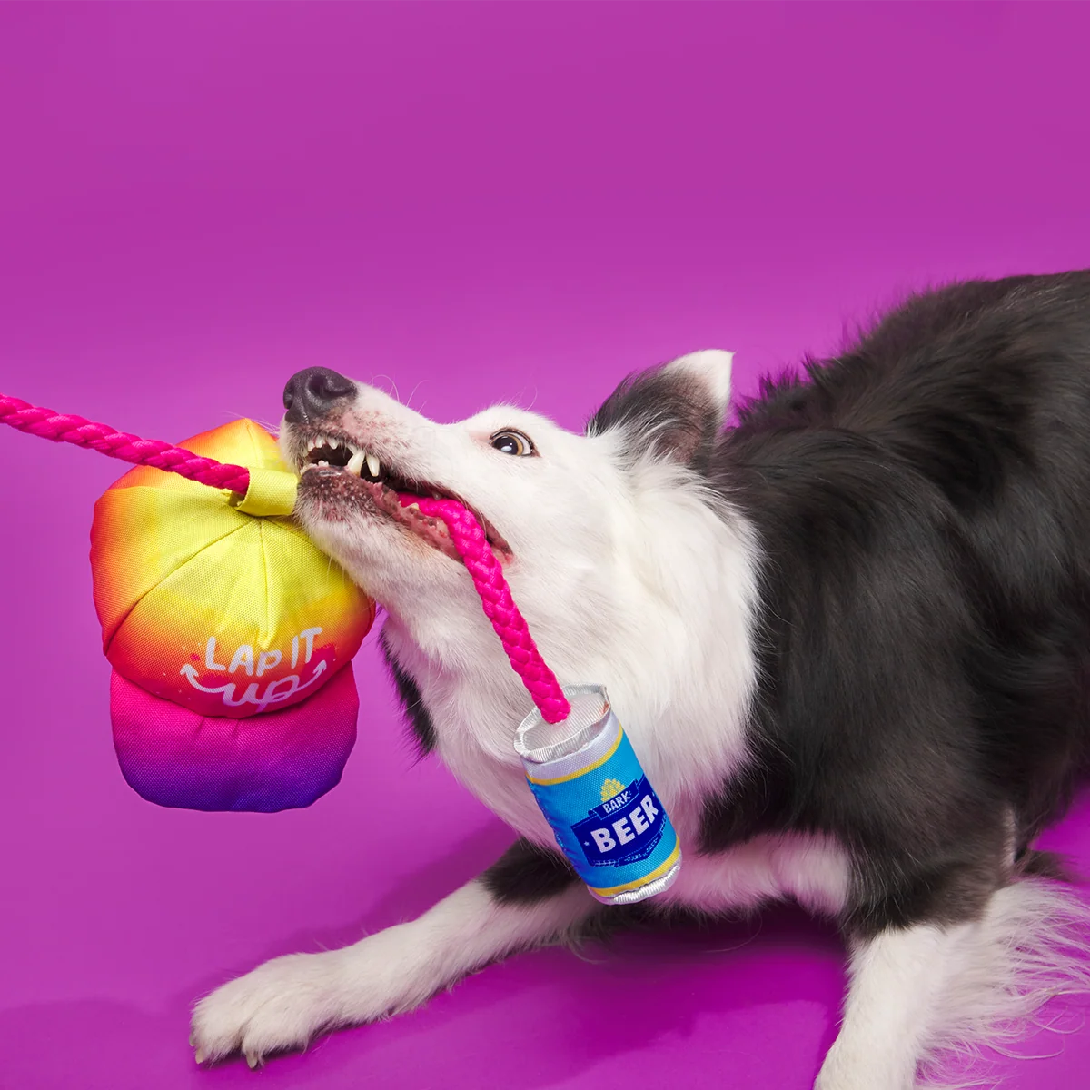 Chug n' Tug Hat Plush Dog Toy - Image 4