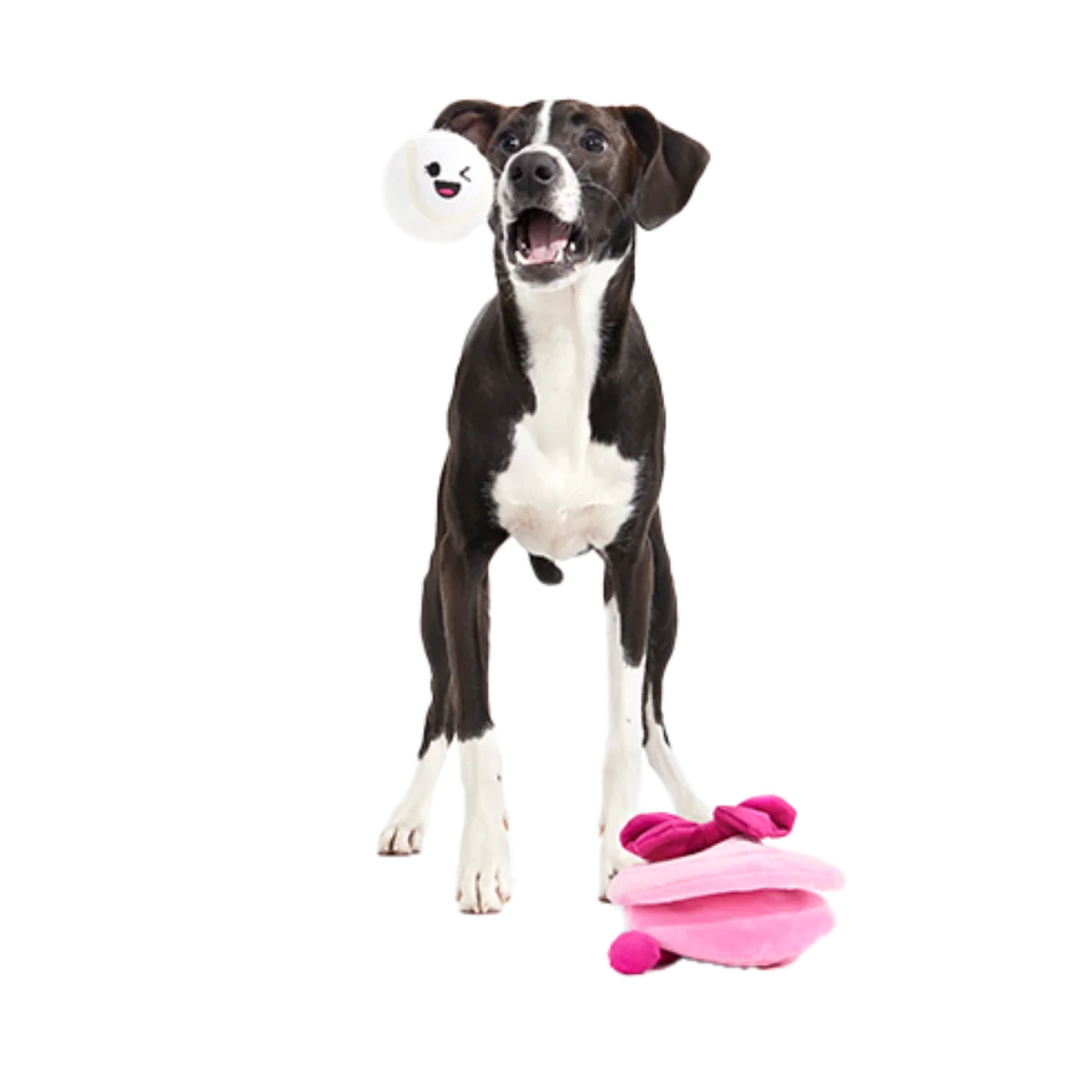 Clamantha Plush Multi-Part + Fetch + Enrichment Dog Toy - Image 3