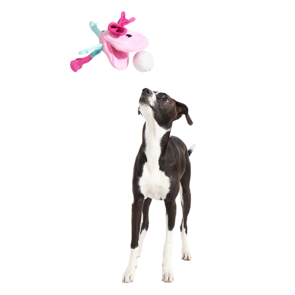 Clamantha Plush Multi-Part + Fetch + Enrichment Dog Toy - Image 4