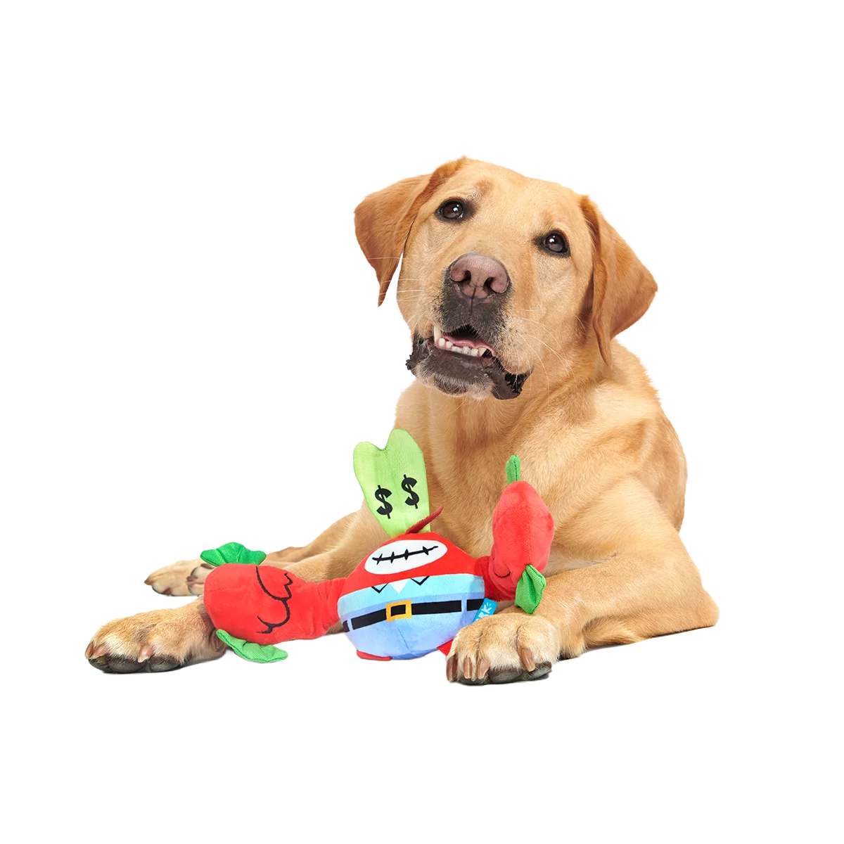 Plush SpongeBob Bundle - Image 21