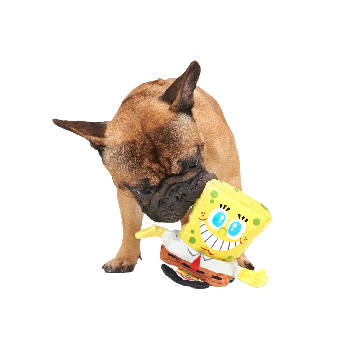 Plush SpongeBob Bundle - Image 3