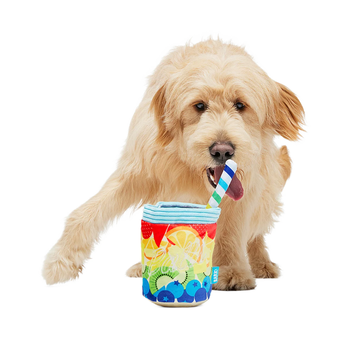 Cocktail Club, Plush Cocktail Monthly Dog Toys - Image 3