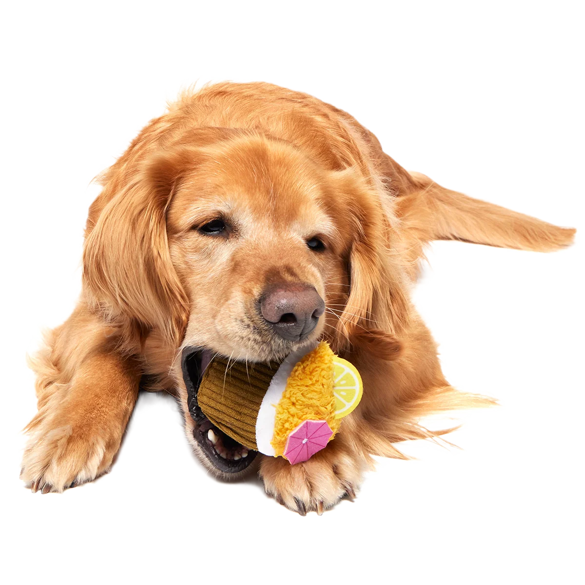 Coco-Mutt Cocktail Super Chewer Durable 2-in-1 + Fetch + Enrichment Dog Toy - Image 6