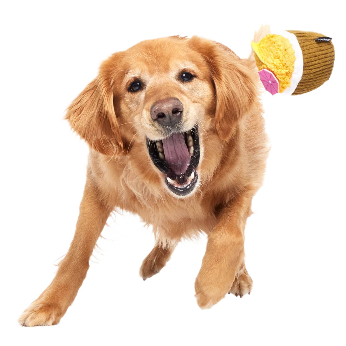 Coco-Mutt Cocktail Super Chewer Durable 2-in-1 + Fetch + Enrichment Dog Toy - Image 7