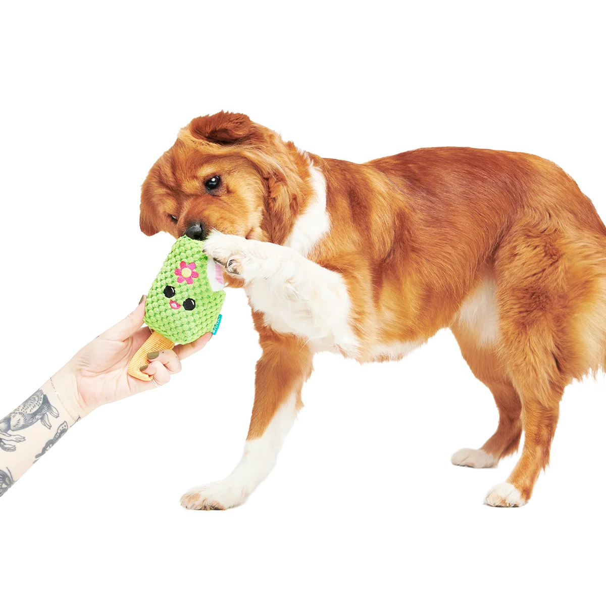 Consuela Pop Plush 2-in-1 + Tug Dog Toy - Image 7