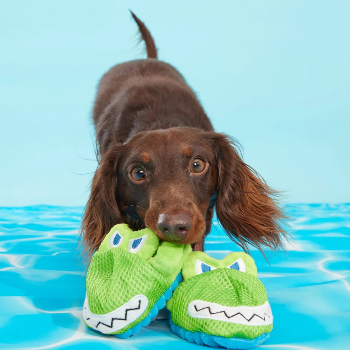Crocks Plush Multi-Part + Enrichment Dog Toy - Image 3