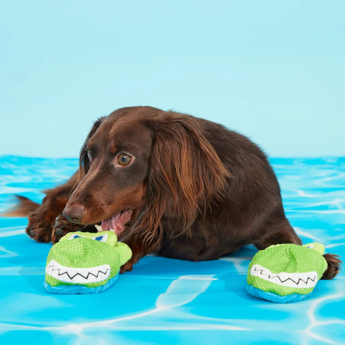 Crocks Plush Multi-Part + Enrichment Dog Toy - Image 4