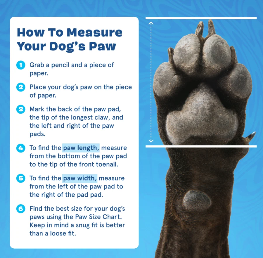 Crocs™ Shoes For Dogs - Image 12