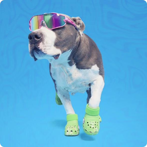 Crocs™ Shoes For Dogs - Image 6