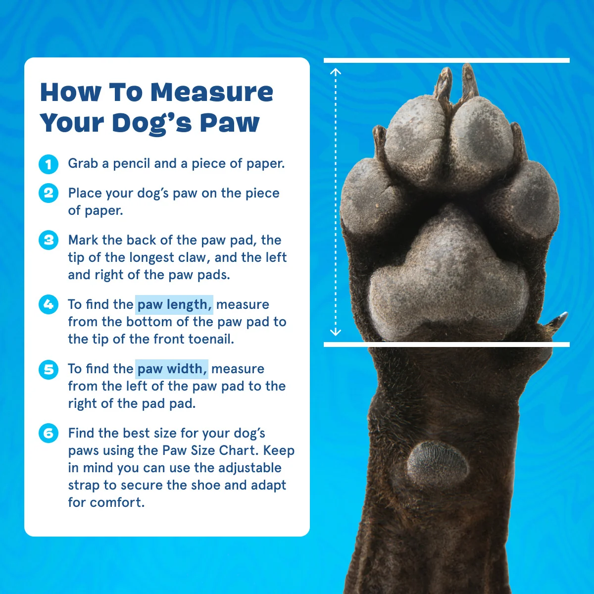 Crocs™ Shoes For Dogs - Image 23