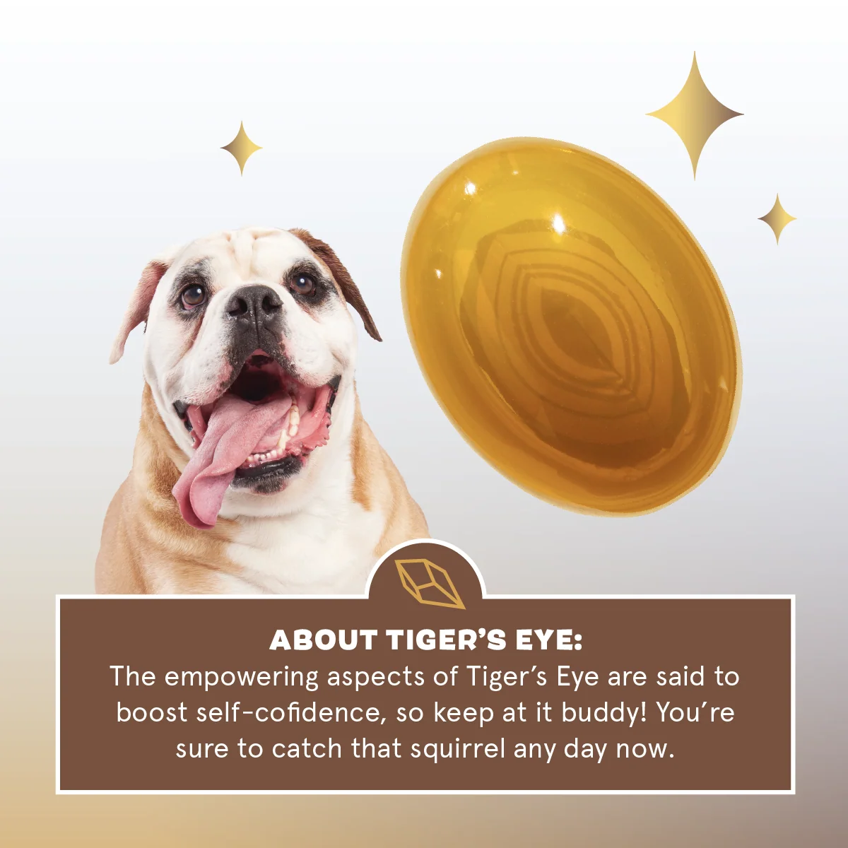 Crystal of the Month Club, Super Chewer Durable Monthly Dog Toys - Image 2