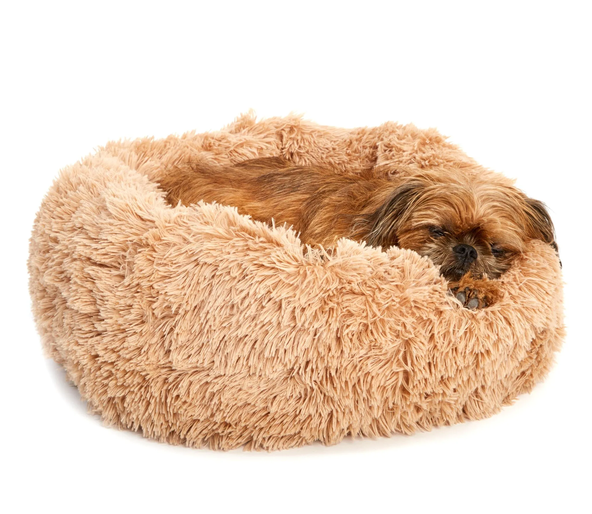 Cuddler Bed - Image 2