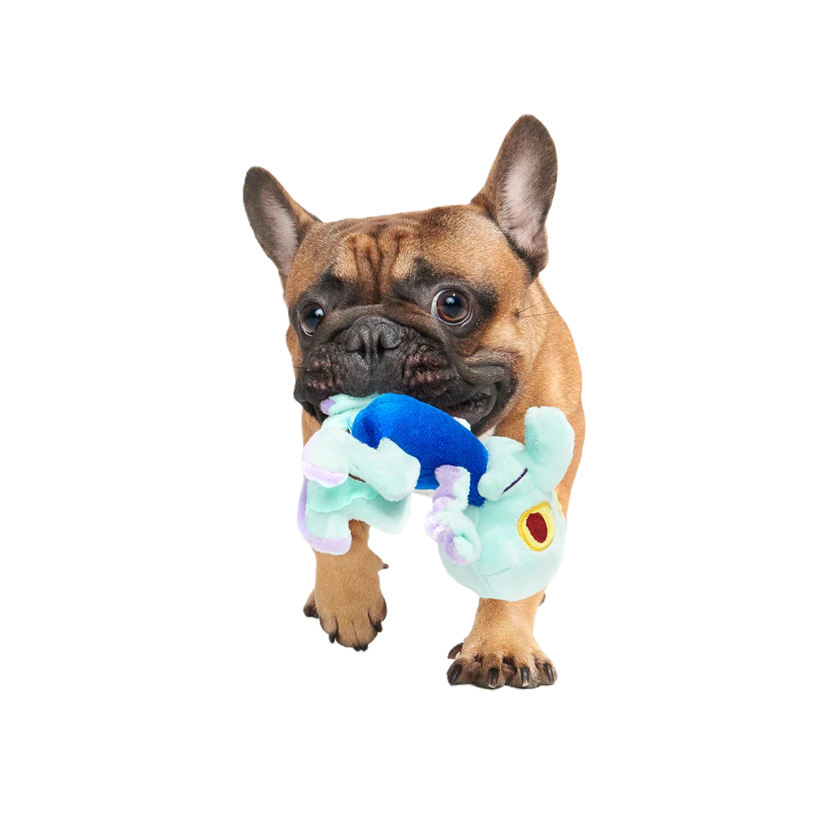 Dancing Squidward Plush Tug Dog Toy - Image 4
