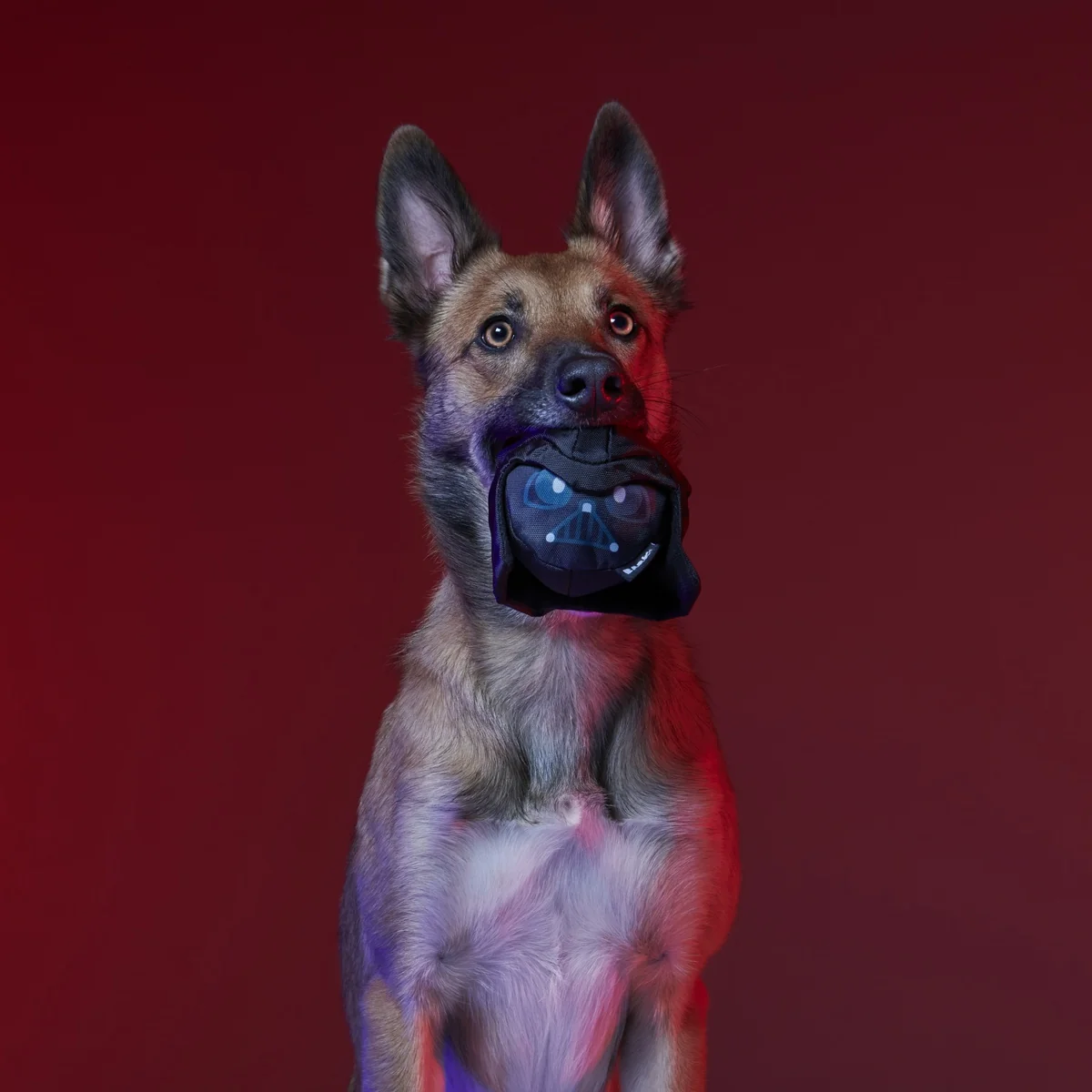 Dark Side Star Wars™ Super Chewer Durable Bundle 2-in-1 + Fetch Dog Toy - Image 7