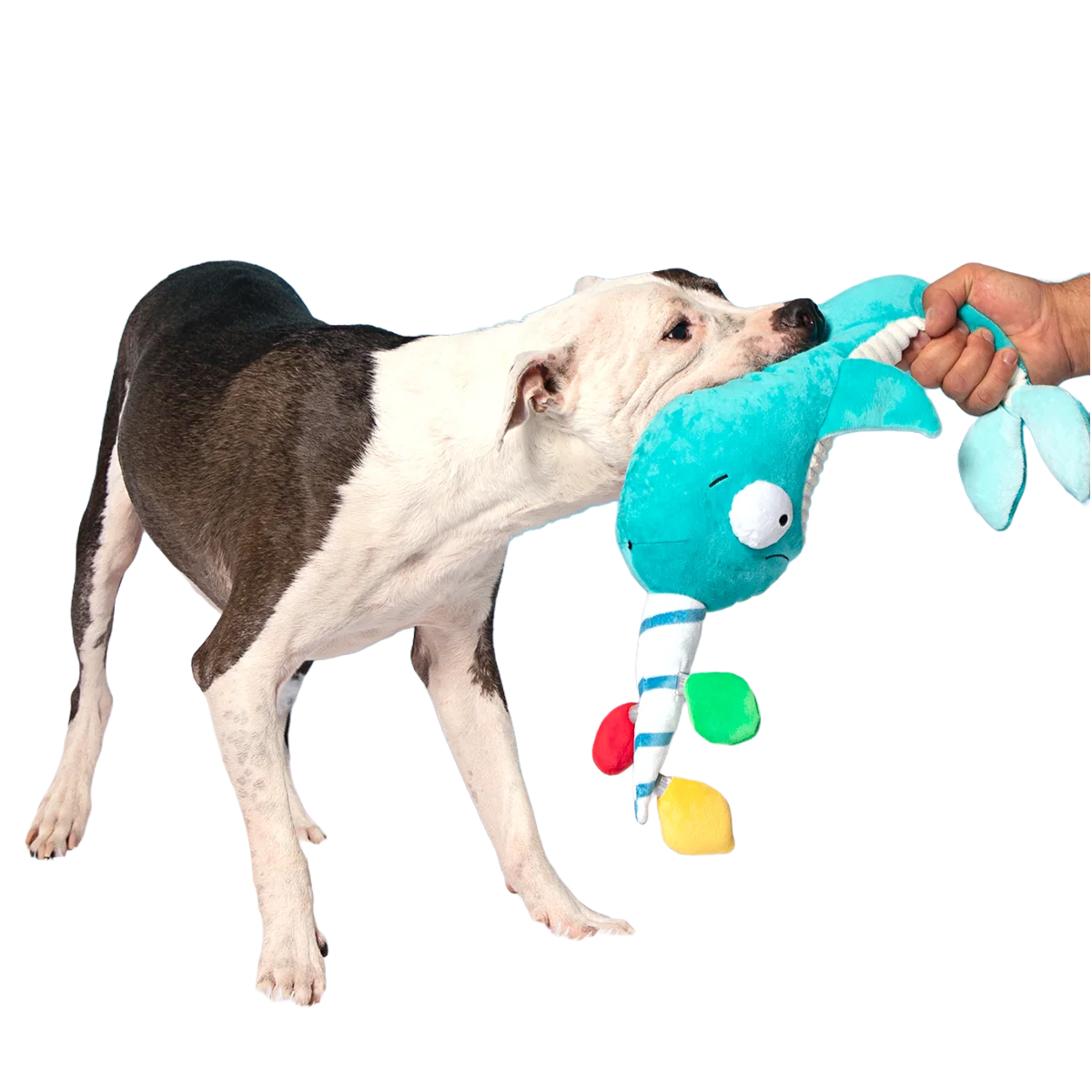 Deck the Narwhal Plush XXL Tug Dog Toy - Image 2