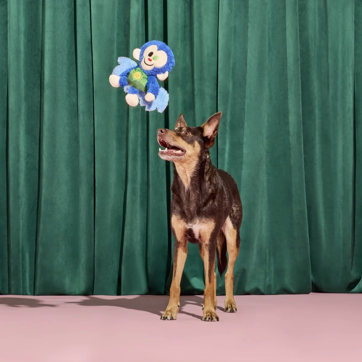 Defying Gravity Chistery Plush Tug Dog Toy - Image 6