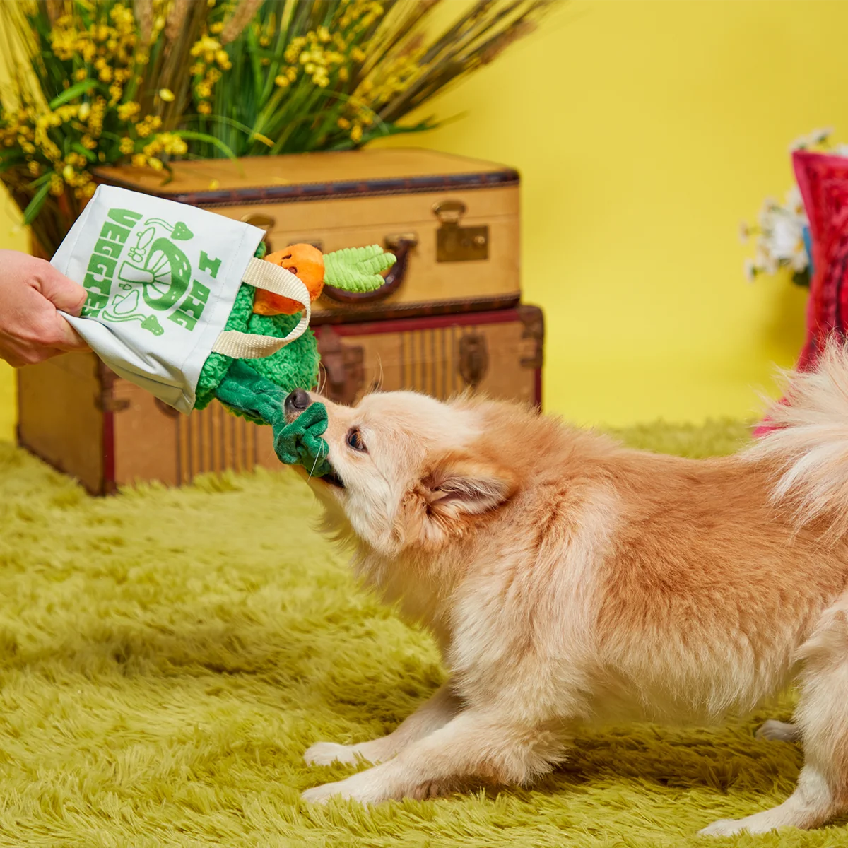 Dig These Veggies Plush Tug + Enrichment Dog Toy - Image 2