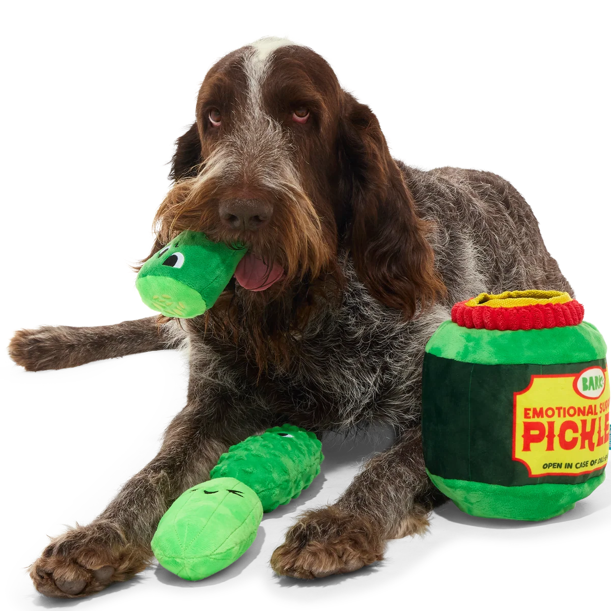 Dill-emma Squad Pickle Plush Extra-Large + Multi-Part Dog Toy - Image 3