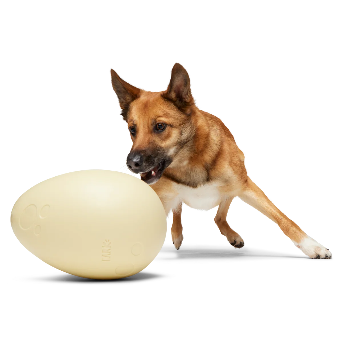 Dinosaur Egg