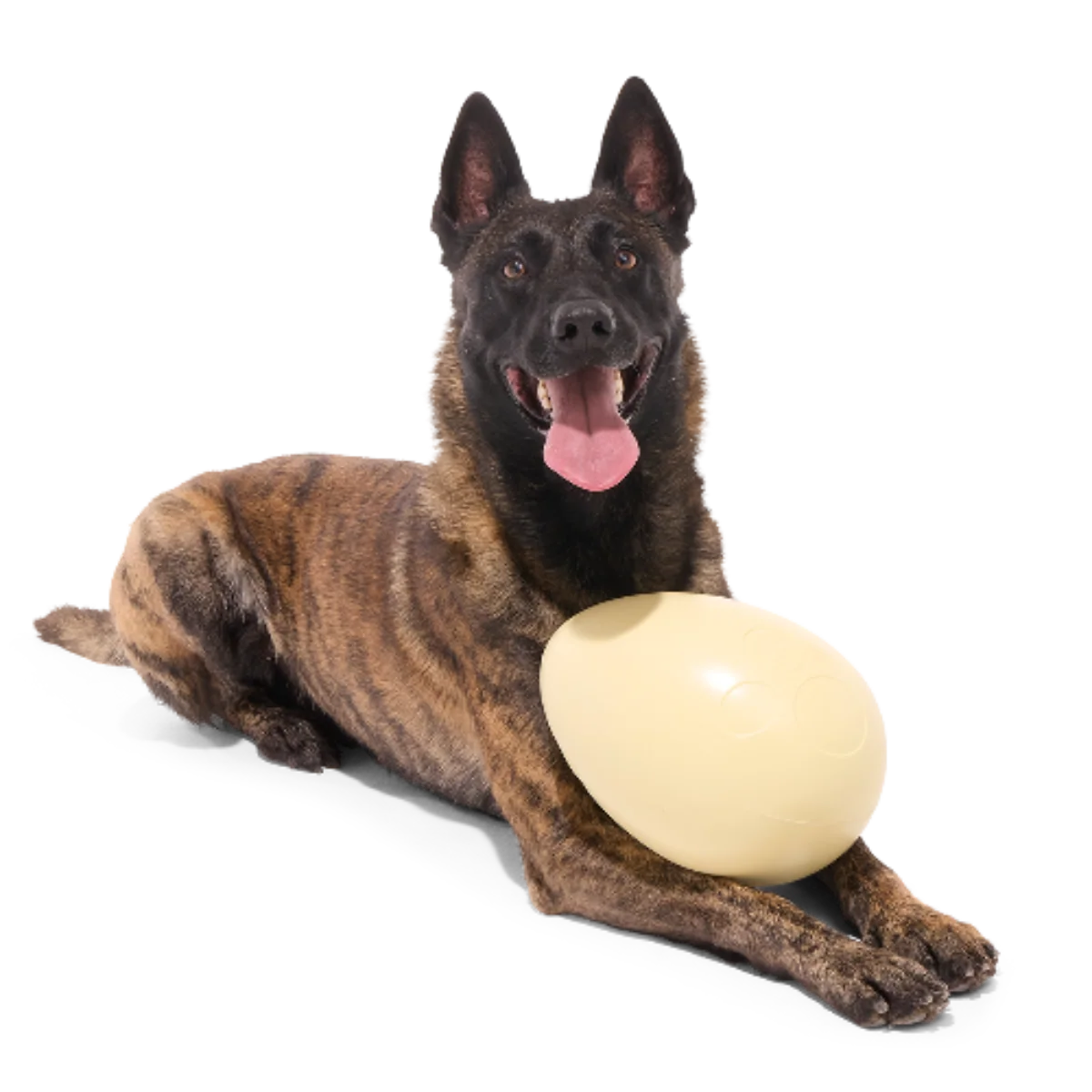 Dinosaur Egg Super Chewer Durable Extra-Large + Fetch Dog Toy - Image 3