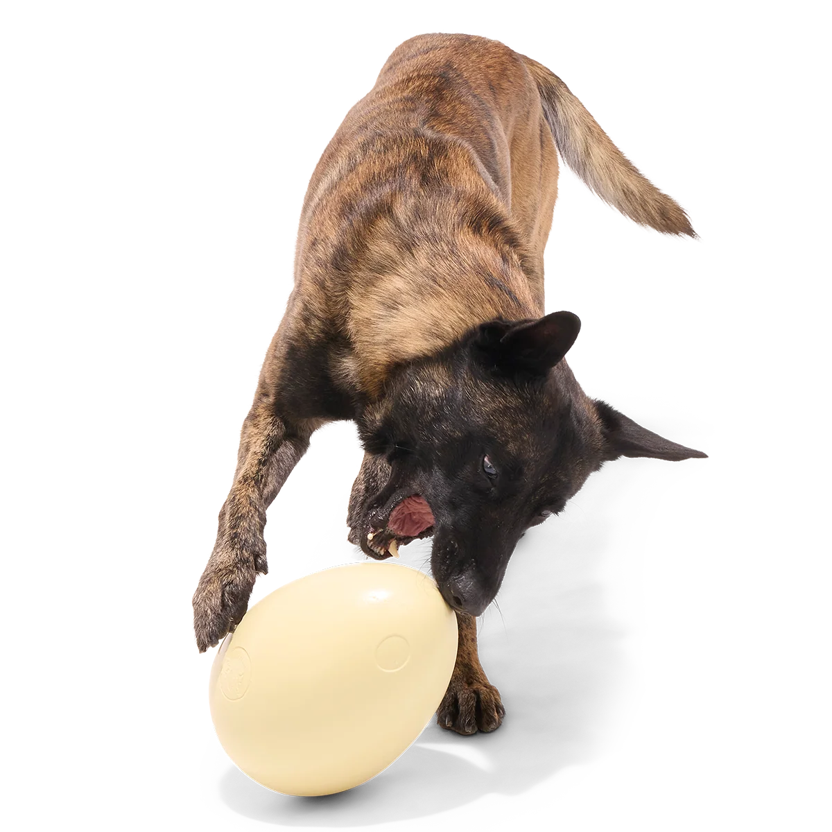 Dinosaur Egg Super Chewer Durable Extra-Large + Fetch Dog Toy - Image 4