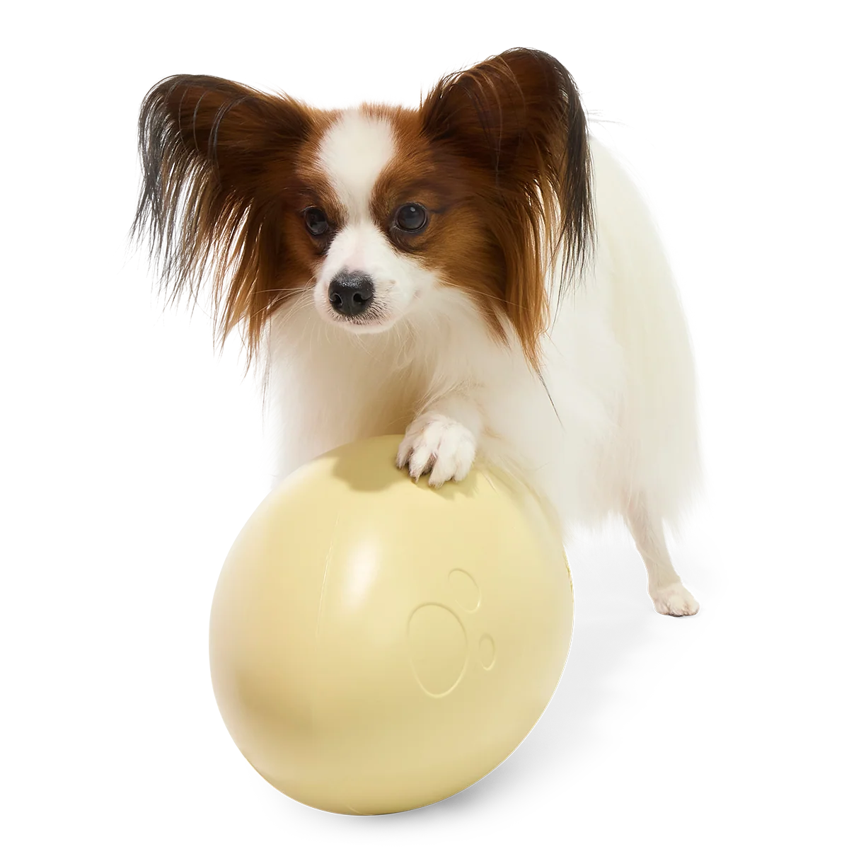 Dinosaur Egg Super Chewer Durable Extra-Large + Fetch Dog Toy - Image 5