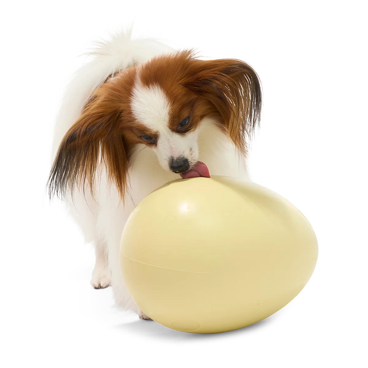 Dinosaur Egg Super Chewer Durable Extra-Large + Fetch Dog Toy - Image 6