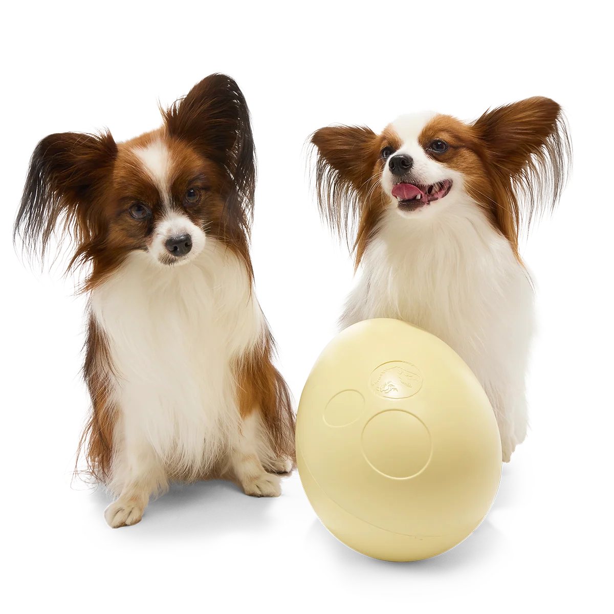 Dinosaur Egg Super Chewer Durable Extra-Large + Fetch Dog Toy - Image 7
