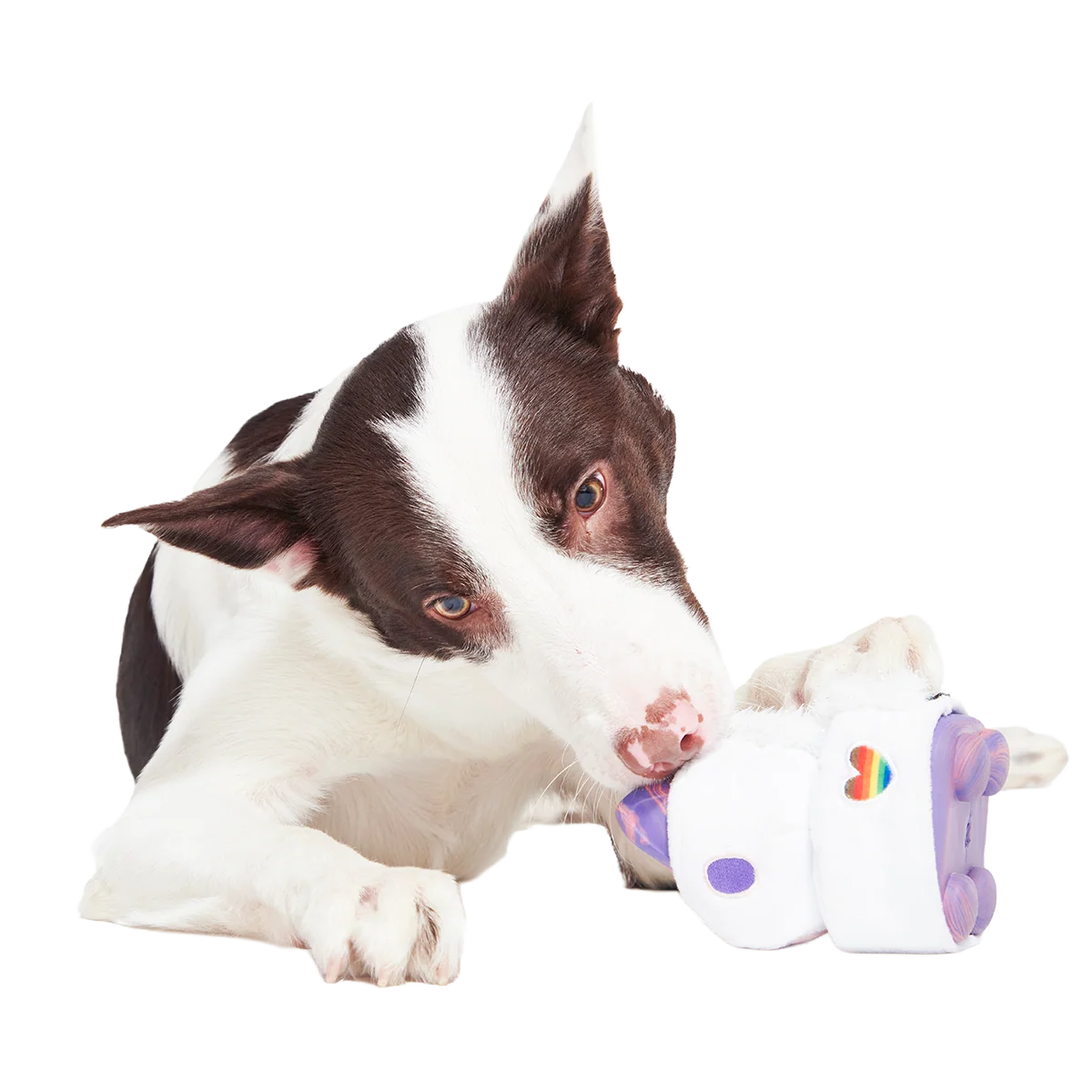 Disco Giddy Super Chewer Durable 2-in-1 + Enrichment Dog Toy - Image 3