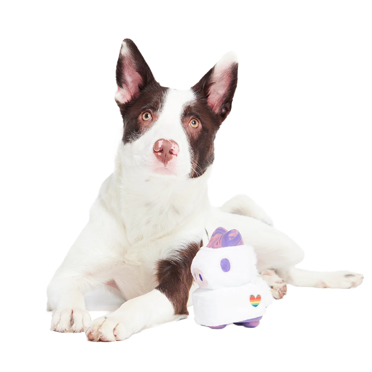 Disco Giddy Super Chewer Durable 2-in-1 + Enrichment Dog Toy - Image 5