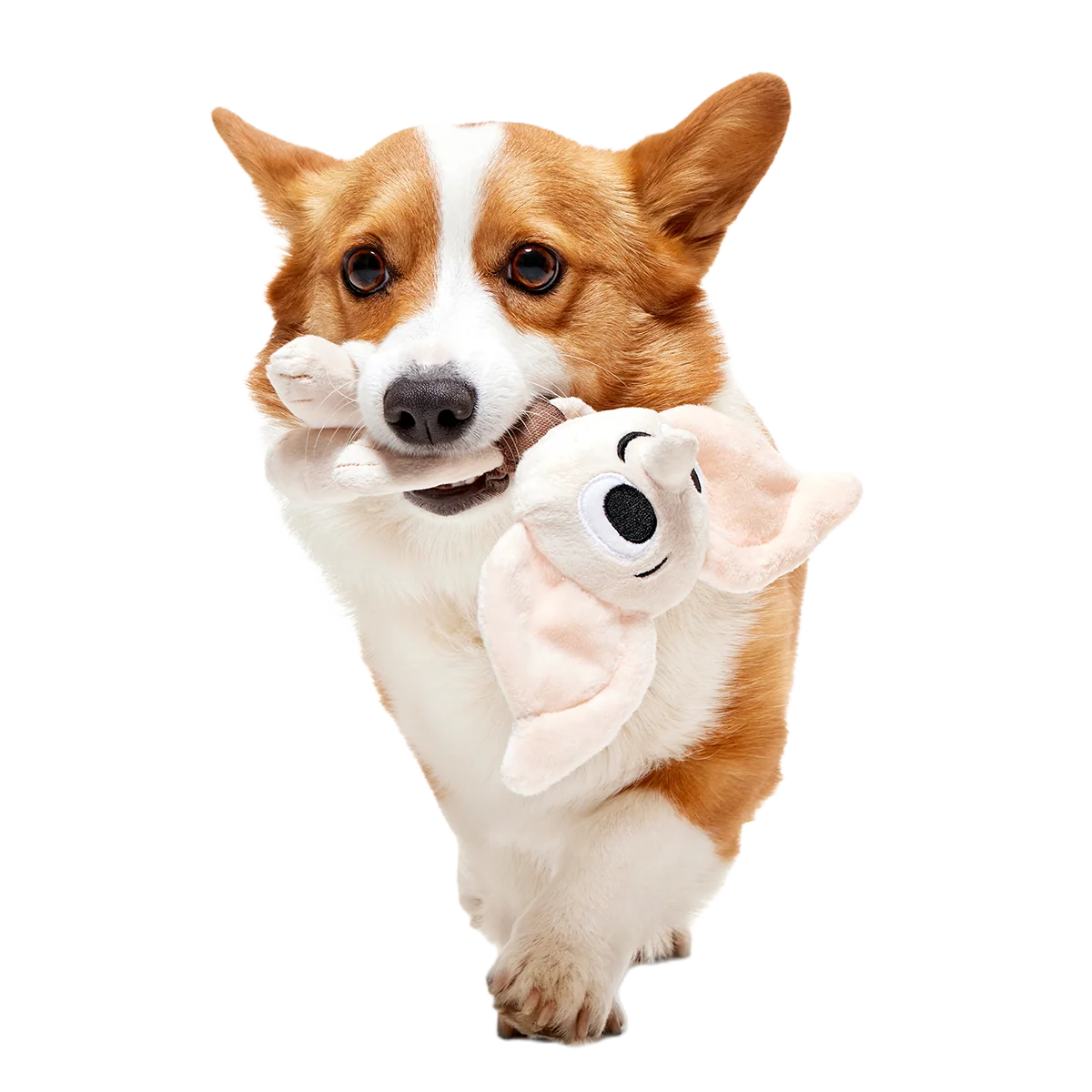 Dobby™ Plush 2-in-1 + Tug Dog Toy - Image 4