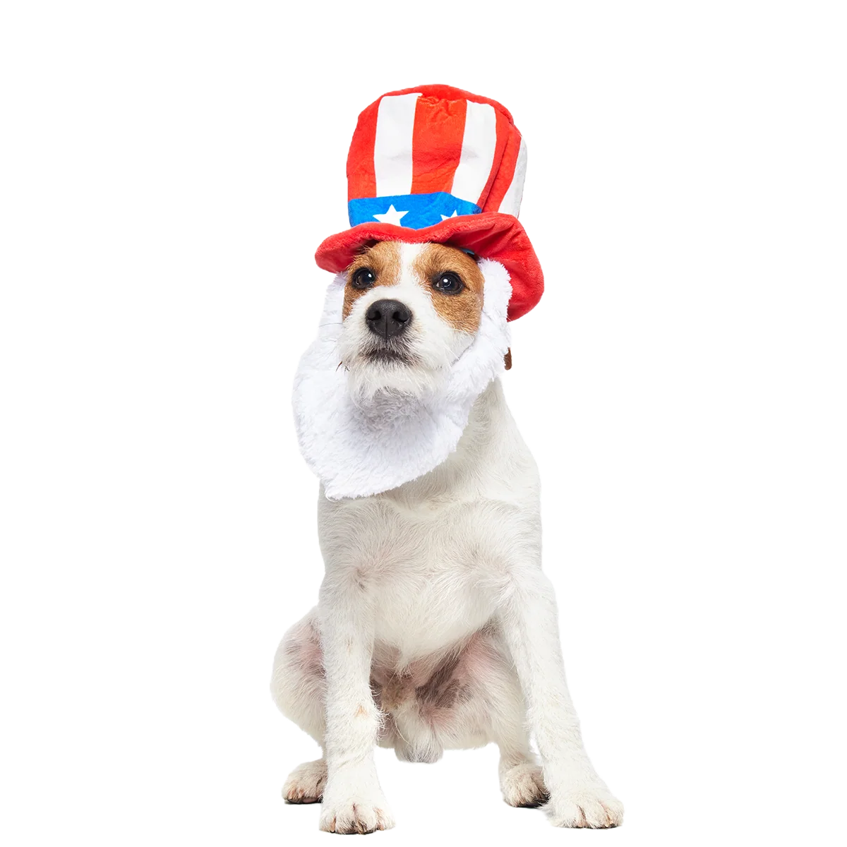 Dog Bless America Plush Wearable + Tug Dog Toy - Image 4
