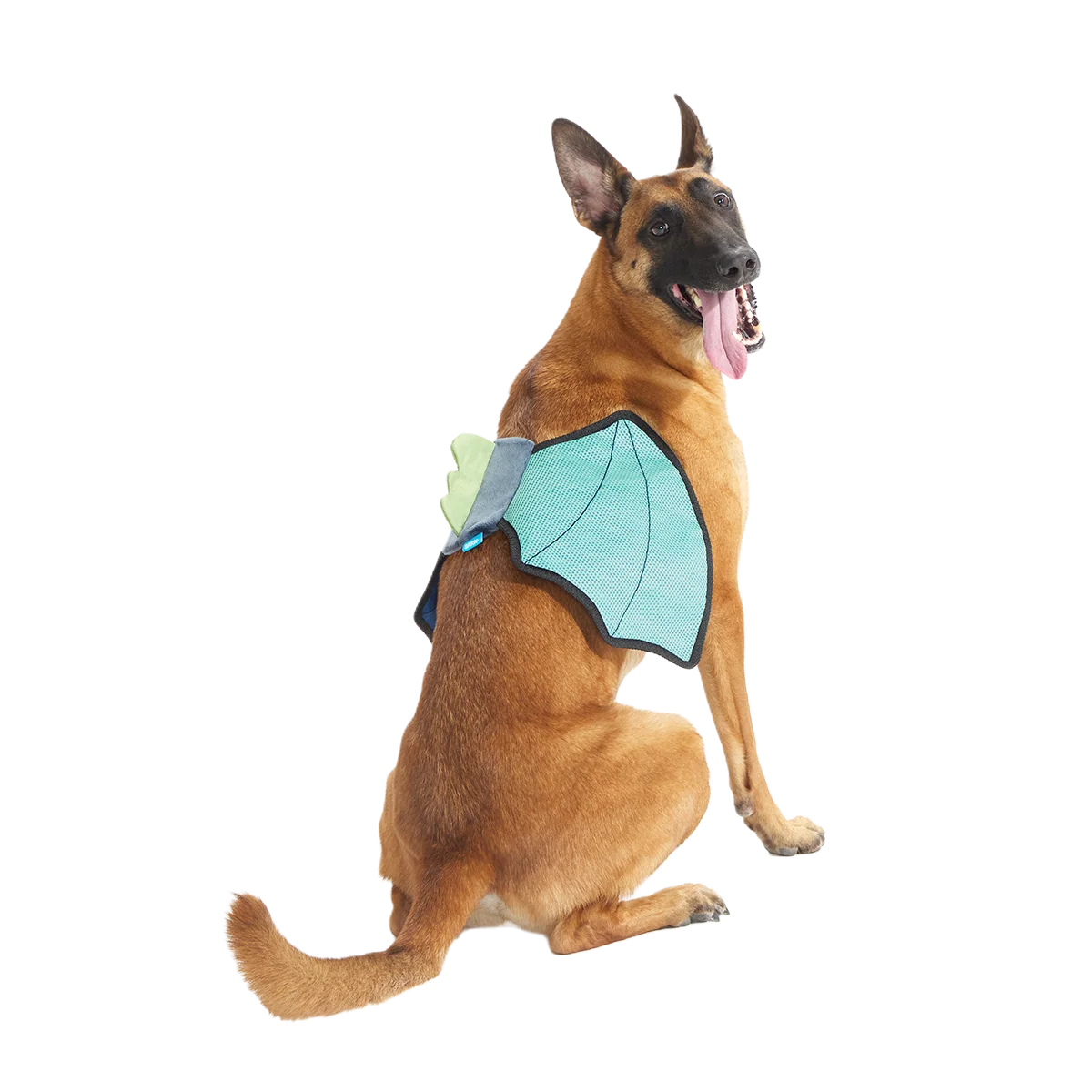 Doggo Dragon Wings Plush Wearable Dog Toy - Image 5