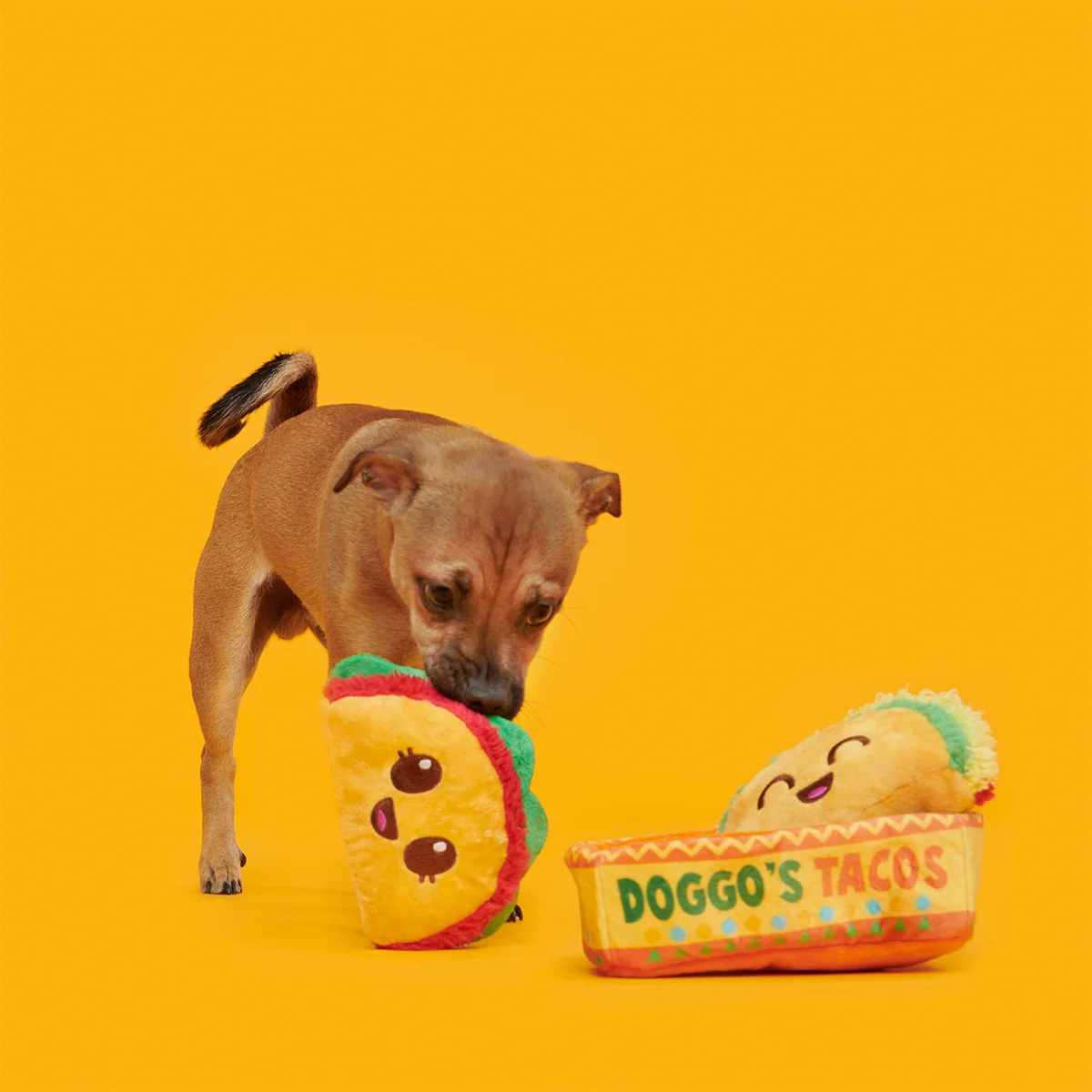 Doggo's Tacos Plush Multi-Part Enrichment Dog Toy - Image 5