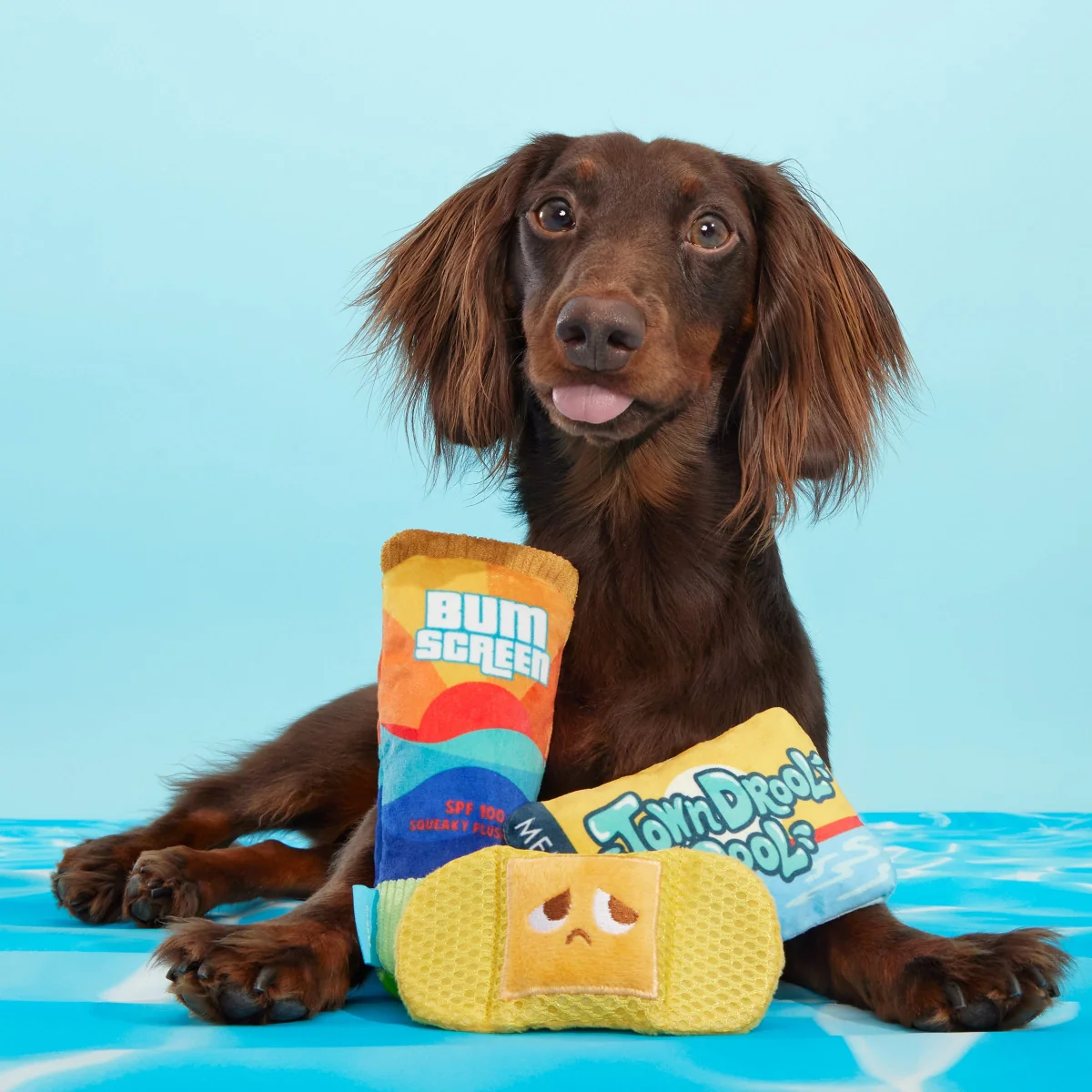 Drool Pool Packup Plush Multi-Part Dog Toy - Image 3