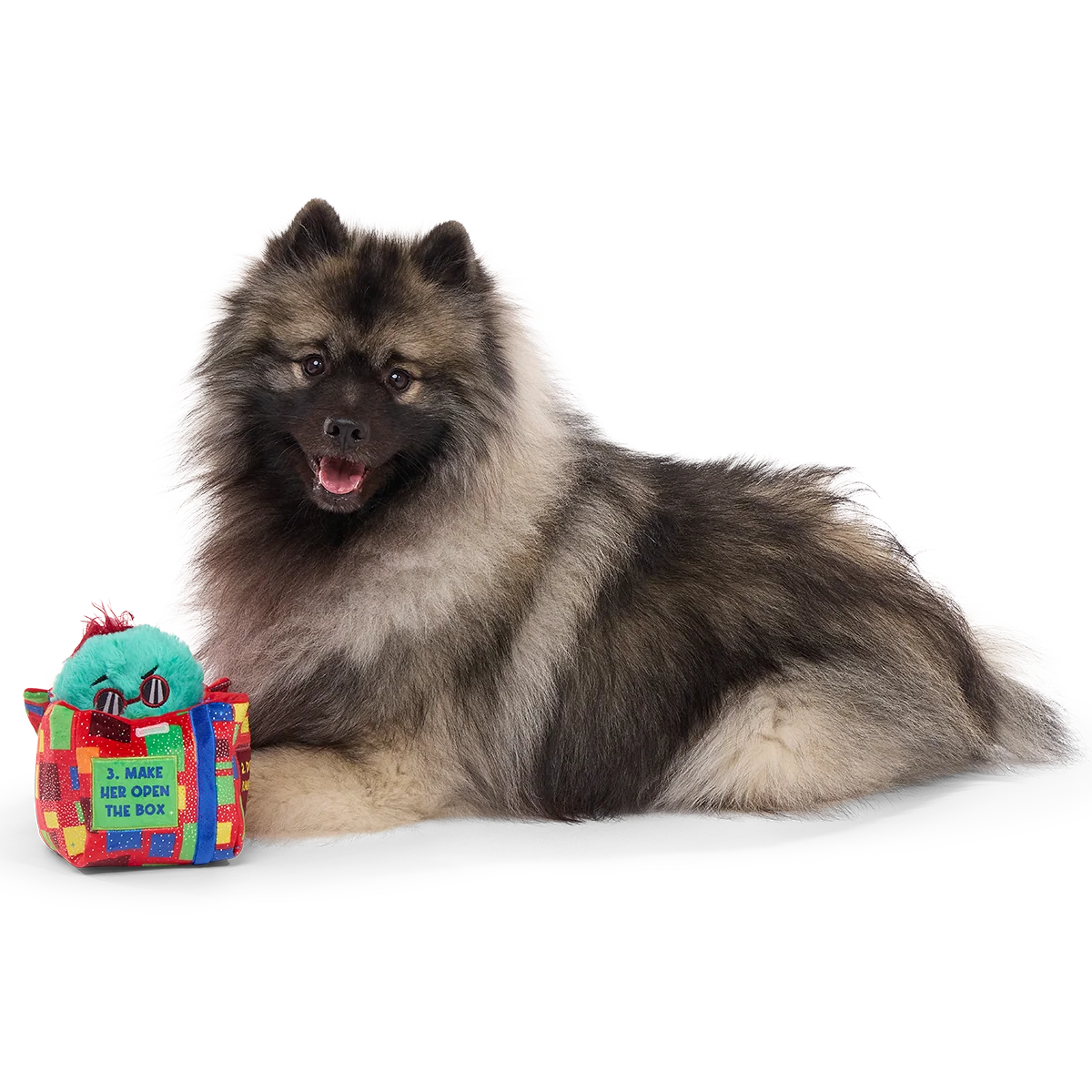 Saturday Night Live: Duck in A Box Plush Multi-Part + Enrichment Dog Toy - Image 3