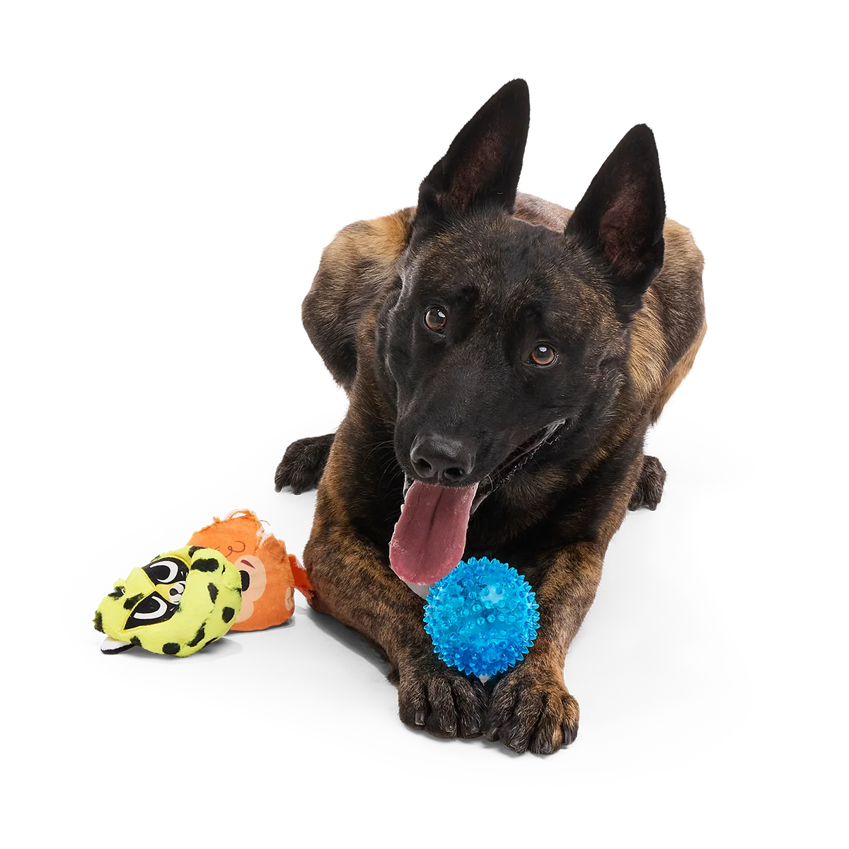 Duma Njaa Plush 3-in-1 + Fetch Dog Toy - Image 4