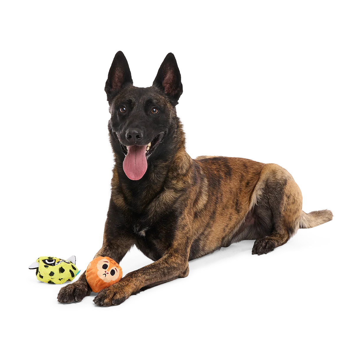 Duma Njaa Plush 3-in-1 + Fetch Dog Toy - Image 5