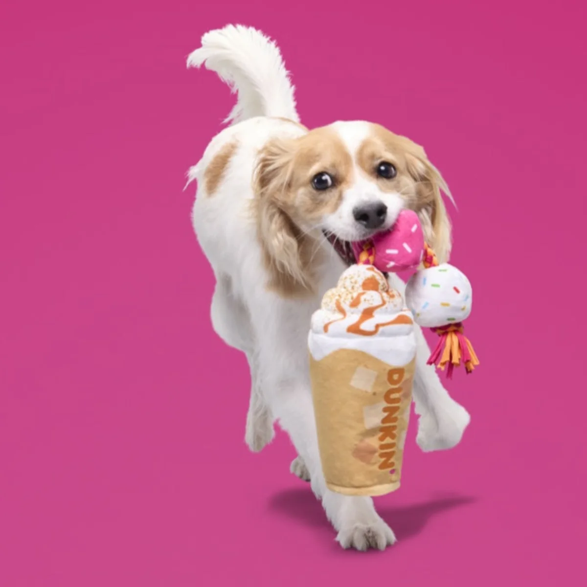 Dunkin'® Pumpkin Signature Latte Plush Tug Dog Toy - Image 4