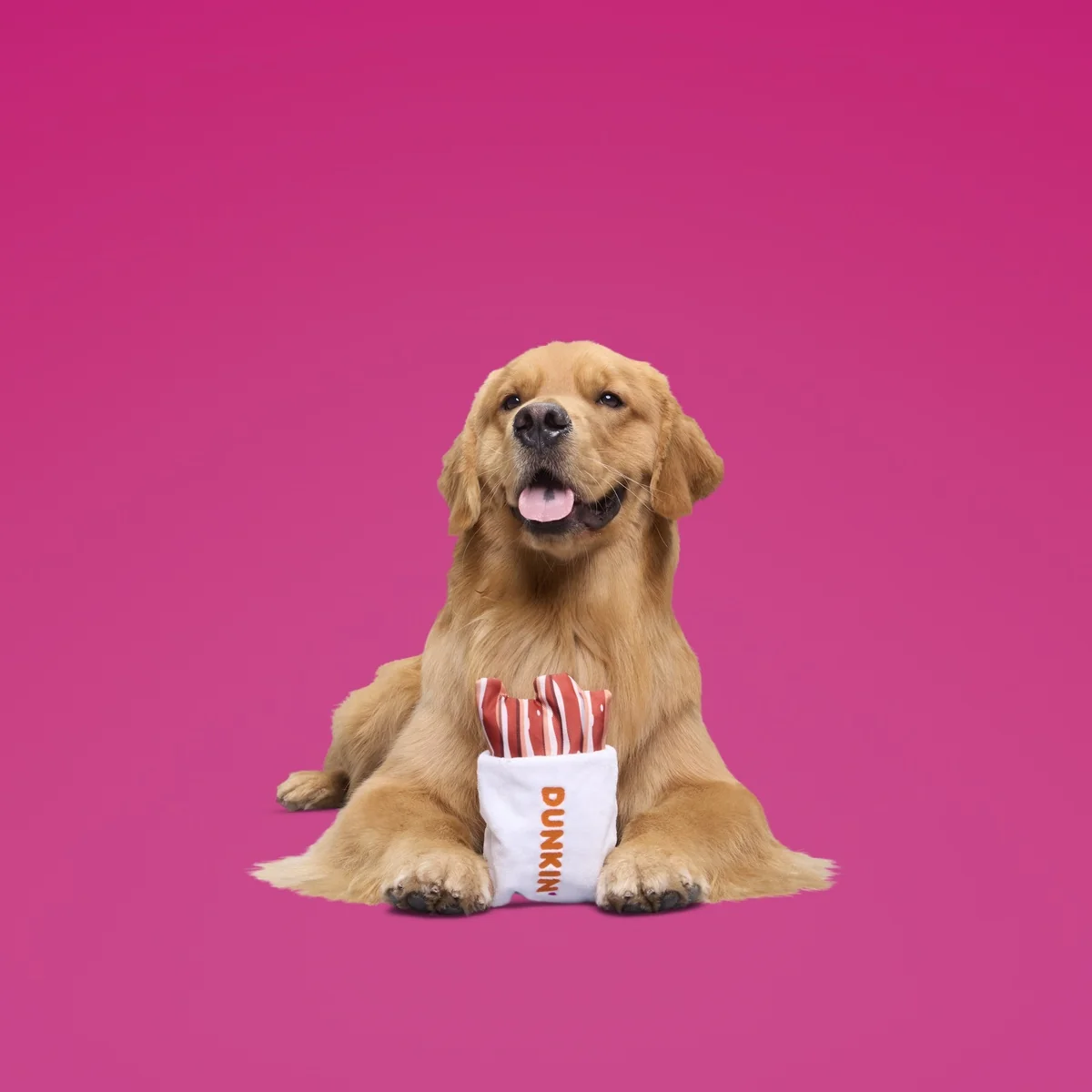 Dunkin'® Snackin' Bacon Plush Multi-Part + Enrichment Dog Toy - Image 6