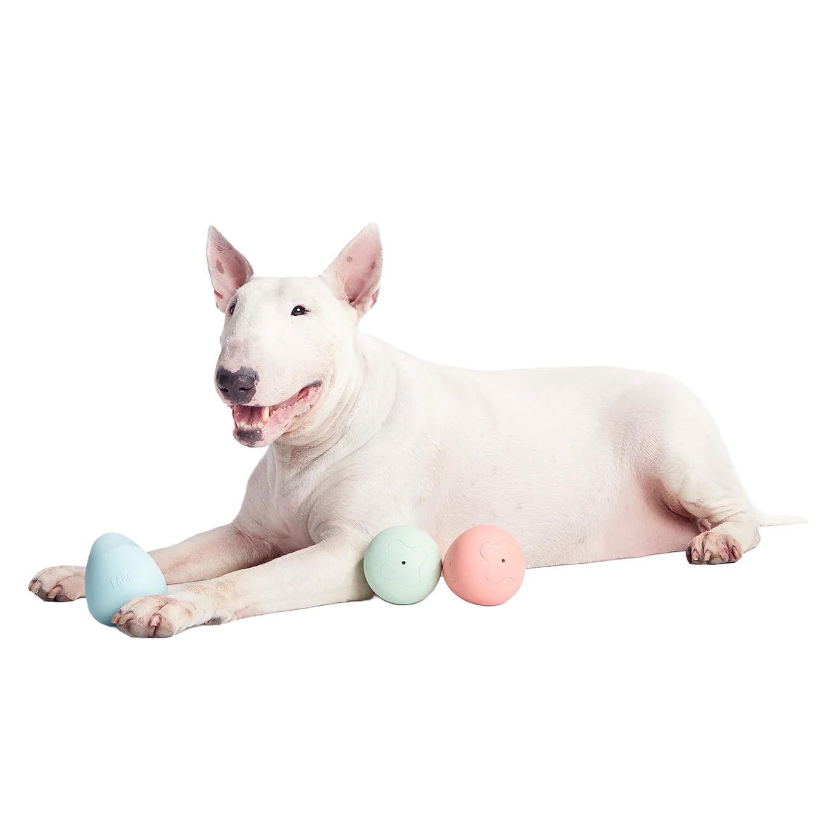Easter Funday Bundle Super Chewer Durable Multi-Part + Fetch Dog Toy - Image 5