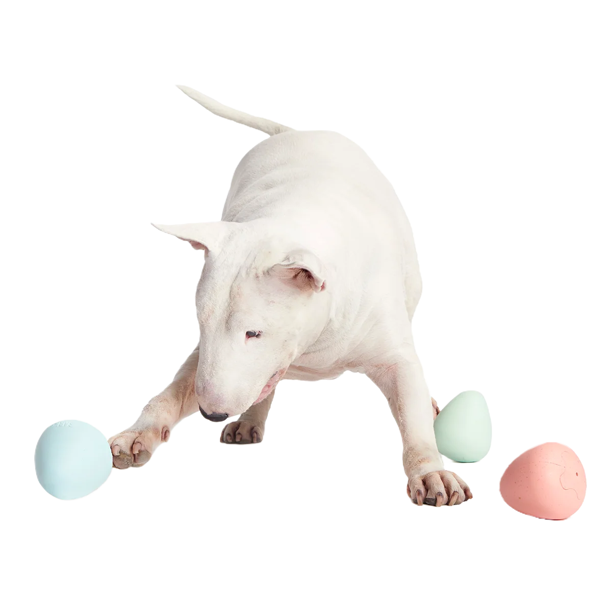 Easter Funday Bundle Super Chewer Durable Multi-Part + Fetch Dog Toy - Image 6