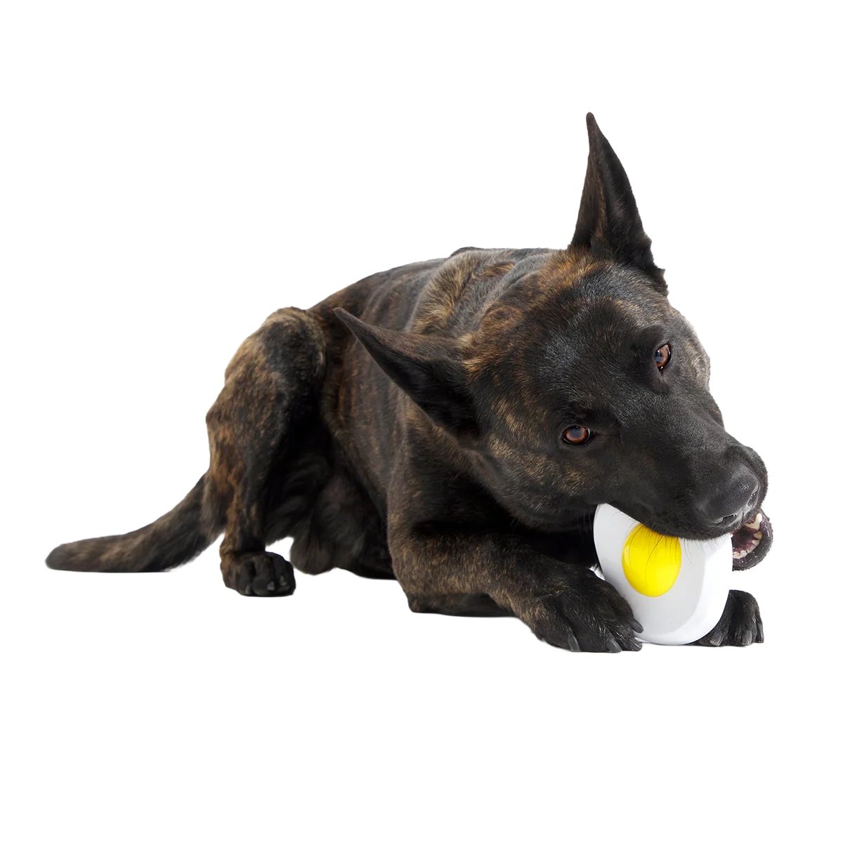 Egg Over Hard Super Chewer Durable Gnaw Dog Toy - Image 2